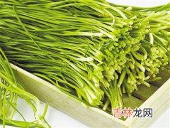 中医专家初春吃韭菜可以提高免疫力