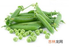 荷兰豆比四季豆养颜 毒性也更小