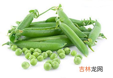 荷兰豆比四季豆养颜 毒性也更小