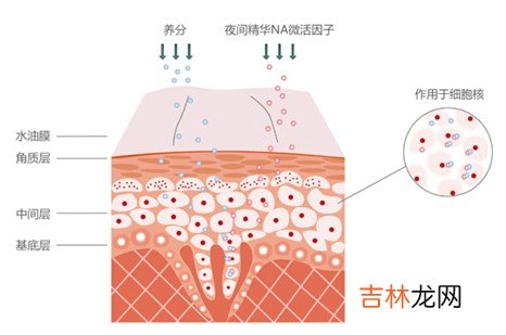 养好习惯让肌肤重现白皙年轻