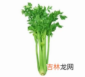 多食芹菜为美白助阵