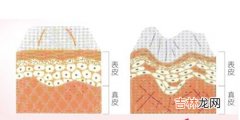 胶原蛋白美容之谜2