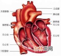 警惕声东击西心梗杀手