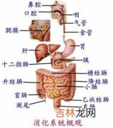 时刻警惕上消化道出血