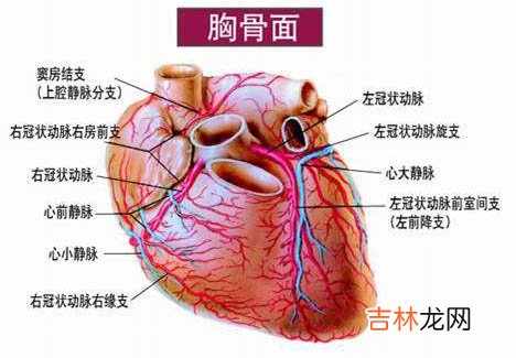 饮酒欢宴要适当 冠心杀手谨提防