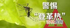 台南登革热疫情“发烧”不退 病例数已达511例