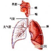 肺炎是全国5岁以下儿童死亡首位原因