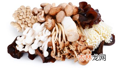 春季女性养生最滋补的十种食物