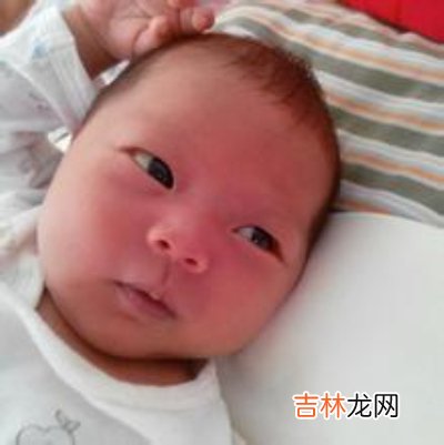 8周的宝宝应睡16~18小时