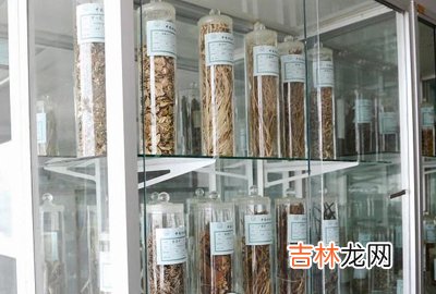 今年将建立中药标准物质库