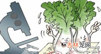正确选择食物 帮我们解决肌肤的问题