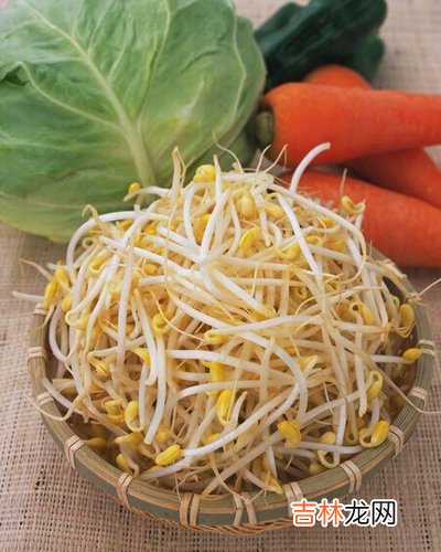 冬季减肥食谱 营养又健康