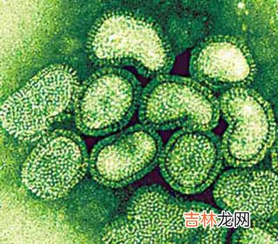 卫生部:病毒株已被分离“传到河南”不成立