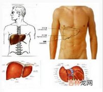 重庆卫生局辟谣肝炎肆虐短信 未现疫情