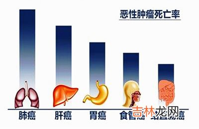 男女恶性肿瘤死亡率最高的均为肺癌
