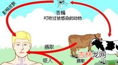 卫生部：储备伤寒、炭疽等7种疫苗防范疫情