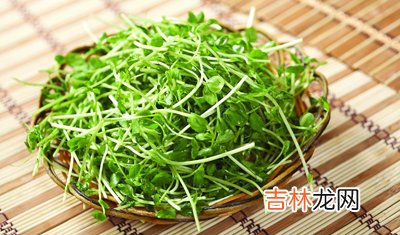 五种健康又瘦脸的果蔬