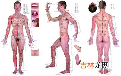 中国颁布实施11项针灸国家标准 7月起正式实施