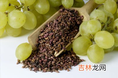 营养物质真的有美容功效