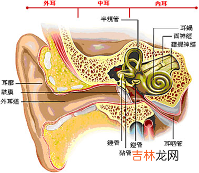 专家提示：游泳后低烧可能是中耳炎征兆