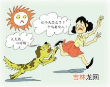 女主人被小狗咬掉下唇 高温天宠物易患“躁狂症”