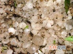 湖南安徽湖北遭风雹袭击 冰雹有鸡蛋大小