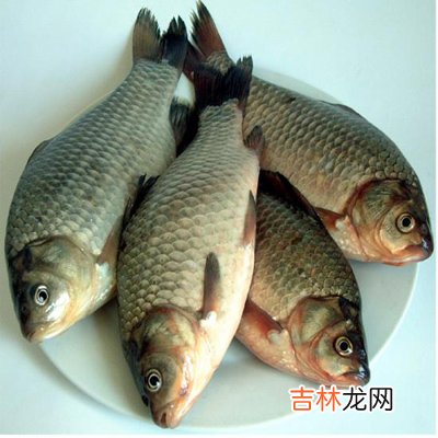 5大抗衰老食物 你吃对了吗