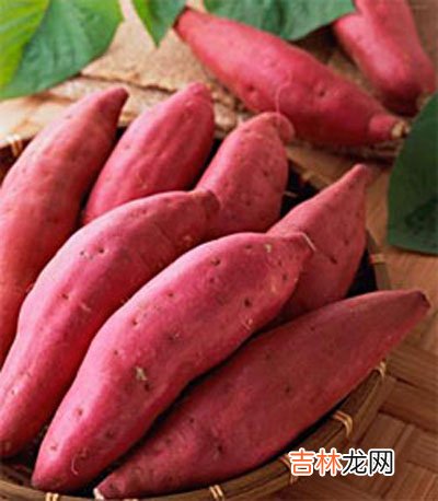 食物也能美容护肤哦
