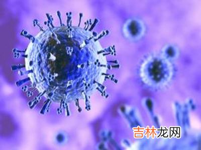 印尼抗禽流感官员否认H5N1病毒突变的传言