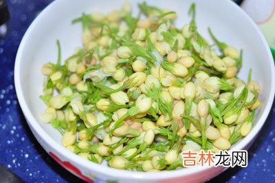 鲜花食谱 可以让你面若如桃花