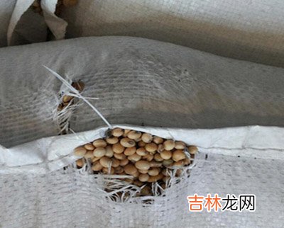 美进口大豆发现疫情 质检总局要美方调查