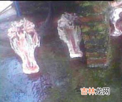 广东屠宰场私宰牛肉:私宰牛肉用臭水冲泡