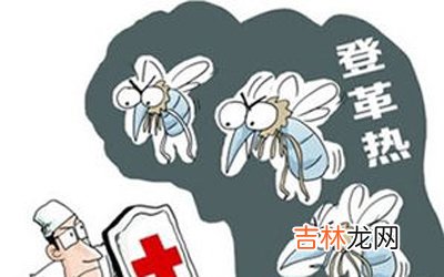 今年我国已发生28例输入性登革热