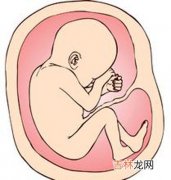 吃人的胎盘真能美容养颜吗