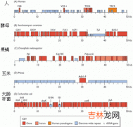 揭秘首个中国人基因组图谱绘制过程