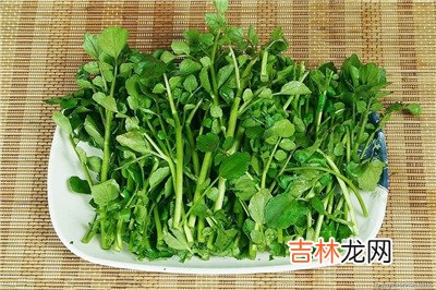 蔬菜水果中的美容圣品