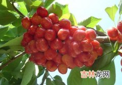 瓜果蔬菜是养颜美白的圣品