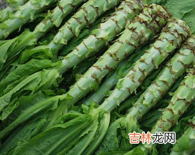 5种天然护肤美食 比护肤品更有效