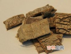 可以让你美丽重现的4味中药