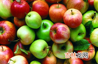 让你美丽又窈窕奇异果—苹果