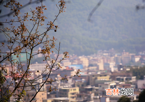 2021入伏前热还是入伏后热