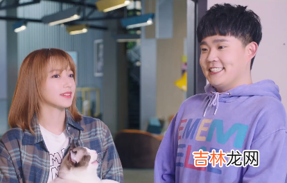 你微笑时很美童谣的猫咪大饼是什么品种