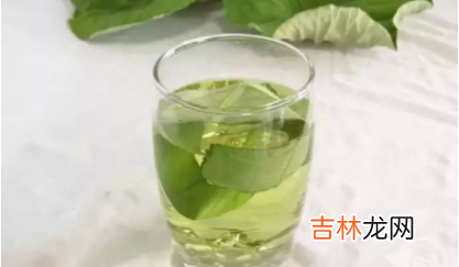 喝一个月荷叶茶会瘦吗