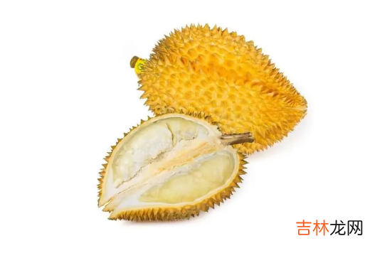 榴莲上面的黄粉是什么
