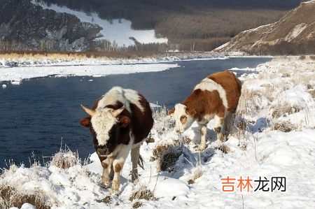 2022年寒假能不能出省玩