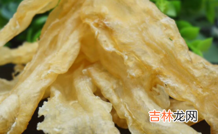 鳕鱼胶怎么泡发才不腥