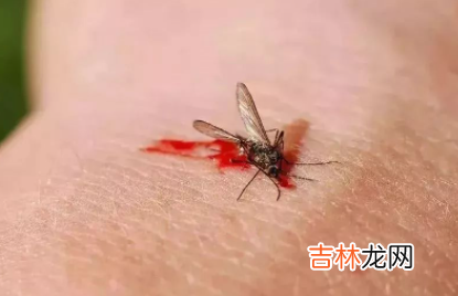 被蚊子咬了怎么止痒消肿土方法