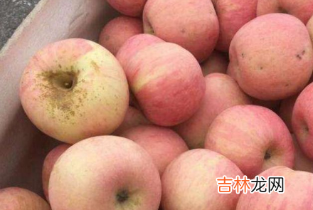 苹果为什么会产生水裂纹