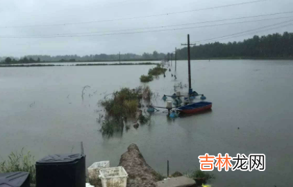 暴雨过后鱼塘要消毒吗