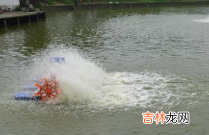 暴雨过后鱼塘要消毒吗